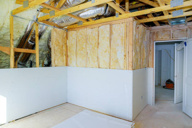 Best Insulation Removal  in Harbor Springs, MI