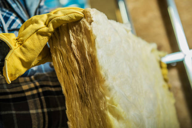 Best Attic Insulation Installation  in Harbor Springs, MI