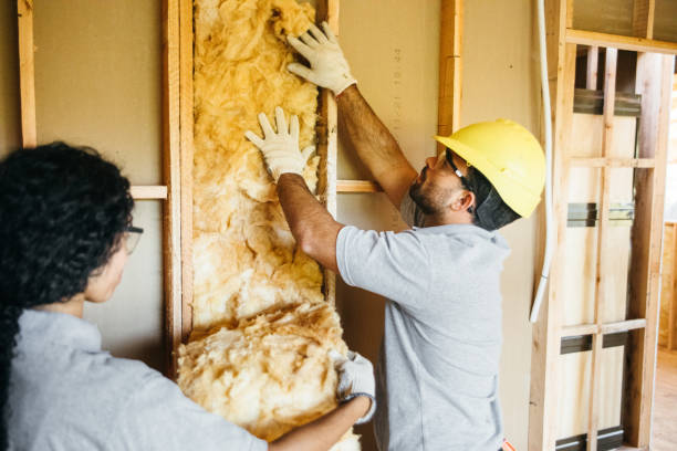 Best Insulation Installation Cost  in Harbor Springs, MI